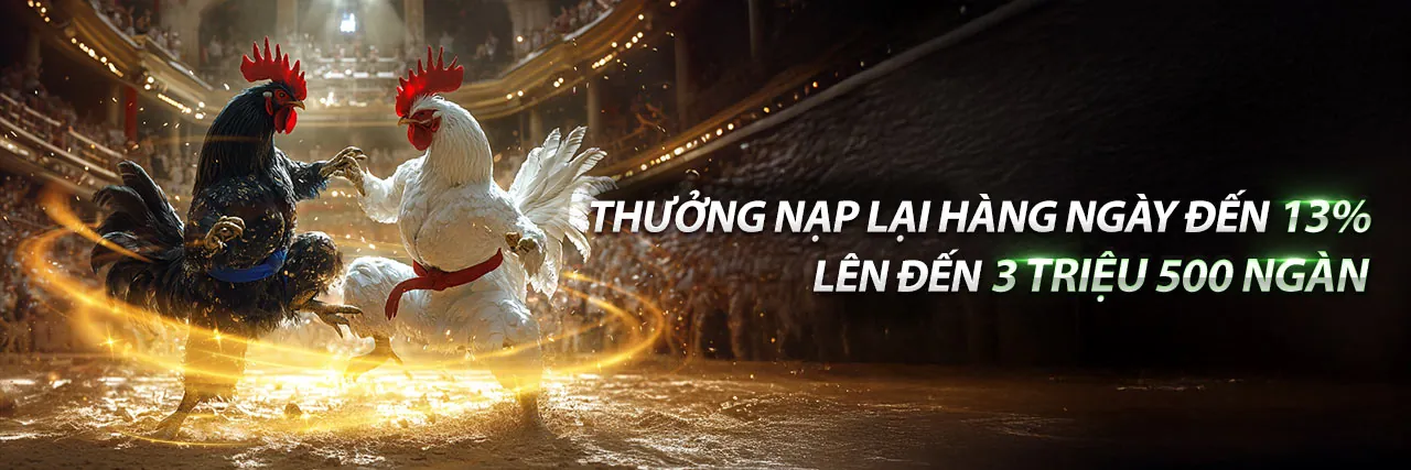 Đá Gà 10/7 tại Viva88 Link